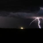 IMG_4631z.jpg