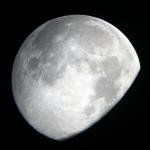 IMG_5028fz.jpg
