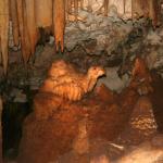 Jewel Cave 1