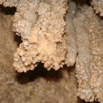 Jewel Cave 6