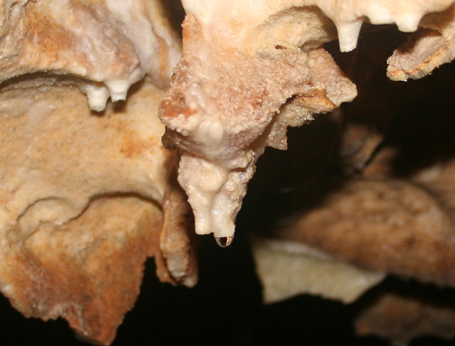 Jewel Cave 7