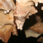 Jewel Cave 7