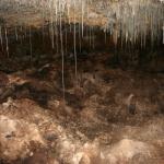 Jewel Cave 11