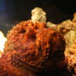Stonefish
