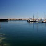 IMG_5409fz.jpg