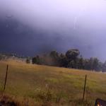 IMG_5595z.jpg