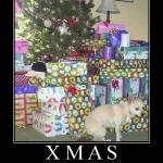 xmasjpg.jpg