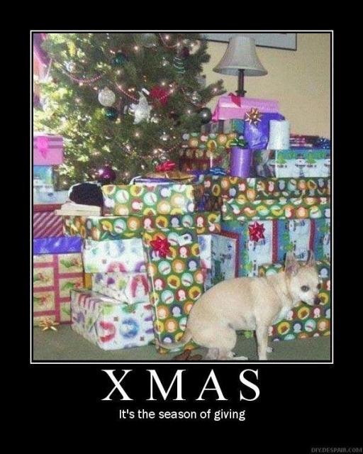 xmasjpg.jpg