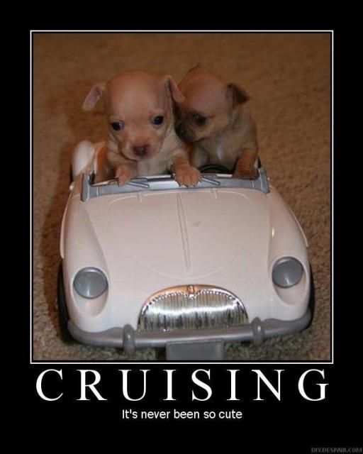 cruisingjpg.jpg