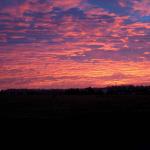 IMG_0457z.jpg