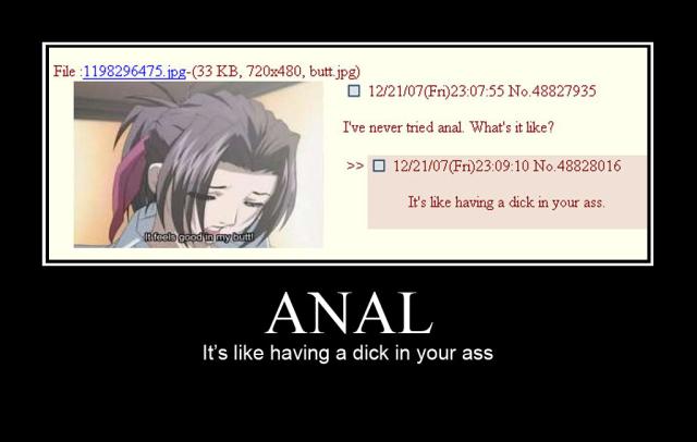 1221222878431.jpg