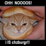 lolcatsdotcomr2zqxmne2namiznd.jpg