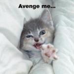 lolcatsdotcomapi2f05yghu6i76g.jpg