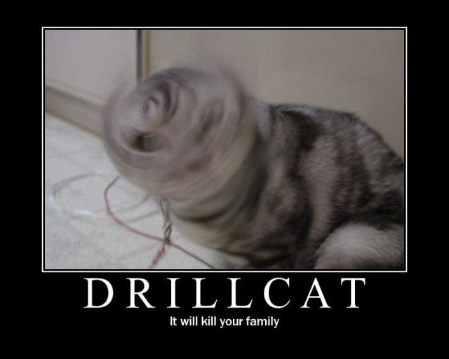 1221838186389.jpg
