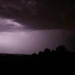 IMG_5542z.jpg