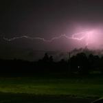 IMG_6682fz.jpg