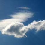 IMG_0742z.jpg