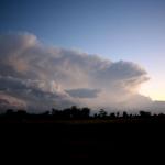 IMG_7296z.jpg