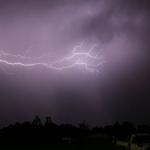 IMG_6839fz.jpg