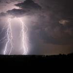 IMG_8502z