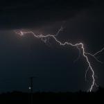 IMG_8451cz